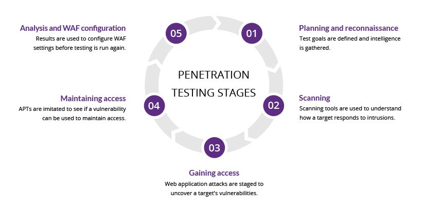 Web App Penetration Testing Expertise - CyberHunter